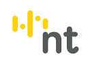 NT.png